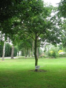 Greenwich Meridian Marker; England; Lincolnshire; East Kirkby